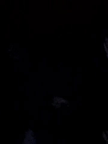 Stripchat-Public.Show-c-Ishikarana-2024.08.28.114013