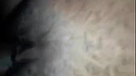 Village young girl fucking