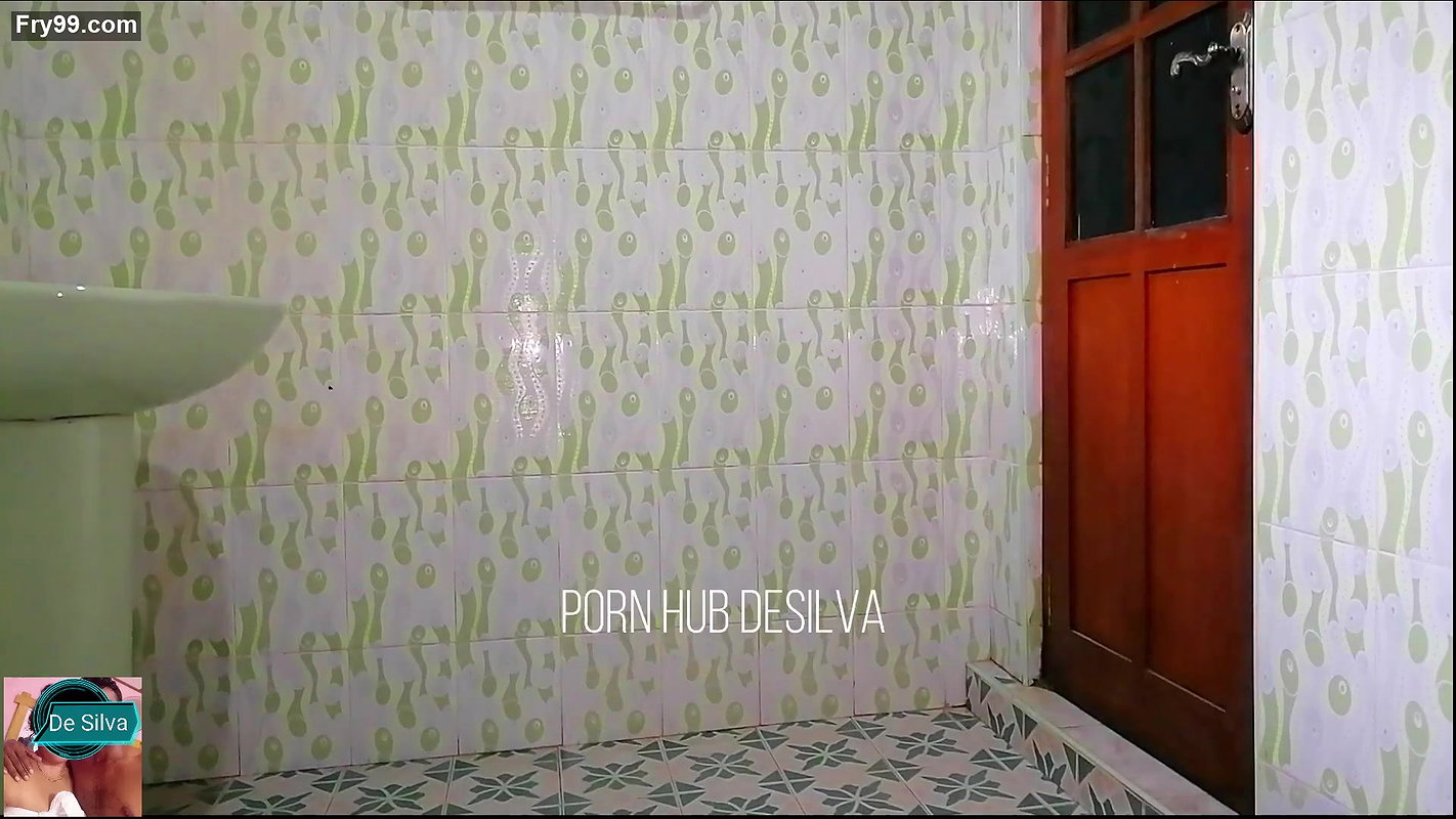 House Owner having Sex in Bathroom