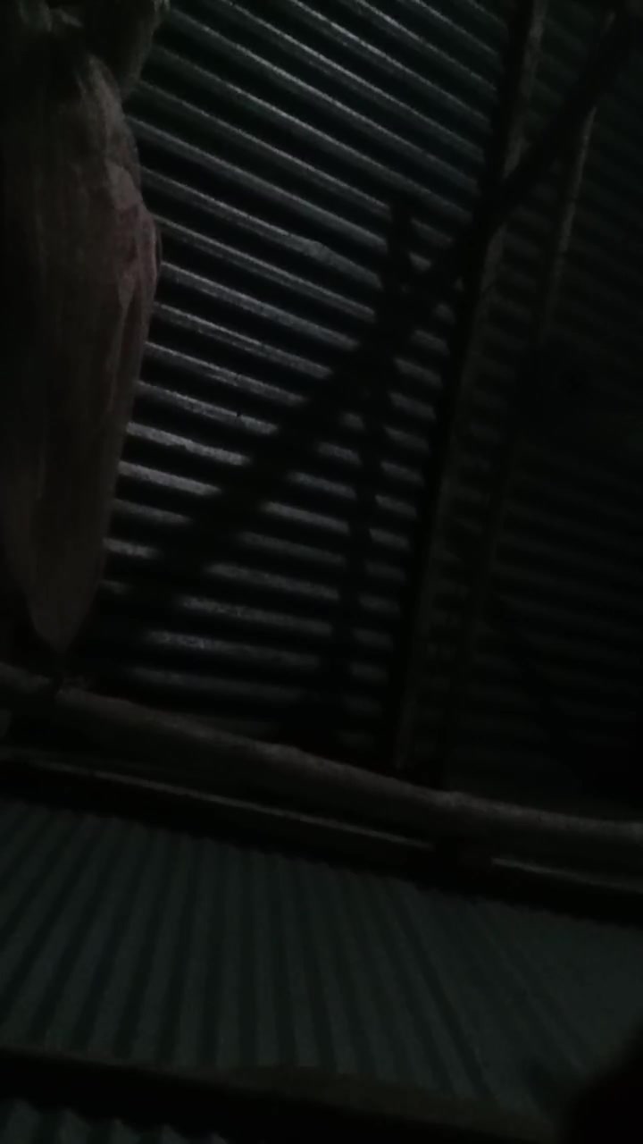 Frame 10