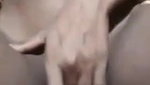 Desi Village Girl Showing
