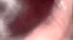 Sexy Indian Gf Sucking
