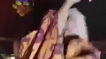 Suit wala maal 2 clips