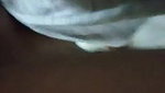 amateur indian wife rittu chaudary sex mms