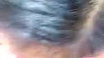 tamil babe blowjob