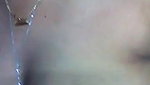 Bangladeshi teen stripping