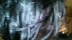 allu girl sucking big thick cock