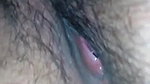 ho wanna fuck desi wife