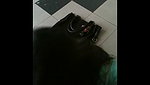 afshaan begum from dhaka sucking boyfriend cock