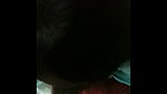 afshaan begum from dhaka sucking boyfriend cock