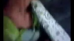 amateur bhabhi boob show