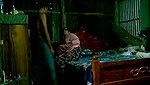 amateur couple fucking in afternoon