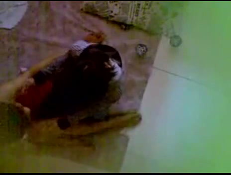 apnay ghar mai behan behnoi ki chudai filmed hidden cam in fan