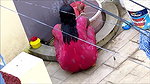 aunty open bath in red nighty