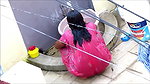 aunty open bath in red nighty