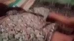 Desi village girl making videos for lover