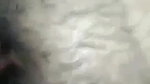 Desi bhabhi Fucking