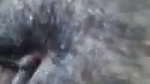 bangla slut laboni fucking with bf