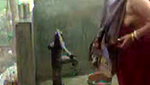 bbw indian bhabhi taking shower from pump