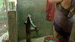 bbw indian bhabhi taking shower from pump