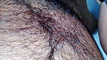 bbw indian wife blowjob