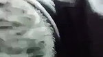 Shaved pussy girl having with uncle