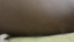 desi sex loving couple record sex with audio