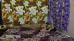 indian couple bedroom sex mona rajeshwar 1