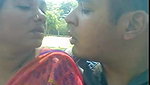 indian love birds in park