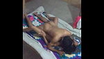 married couple from lahore sex tape