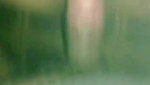 newly married chandigarh couple sex tape