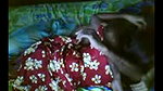 newly married couple routine quick sex