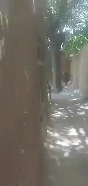 Pk village bhabi quick