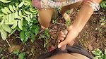 An indian desy girl sucking very hard her ex boyfriend big cock at outdoor, an andhrapradesh telugu girl sucking deepthroat cock