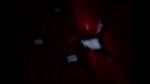 srilankan girl blowjob 1