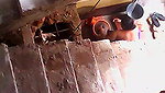 bhabhi doing laundry