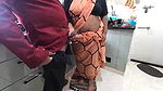 Jerking infront of bengali maid Aashni mondal