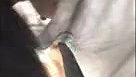 cousin sister downblouse nipple visible
