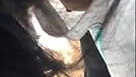 cousin sister downblouse nipple visible