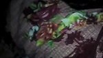 Village Bhabi Both Hole Fucked By Husband