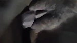 Sexy girl fucked