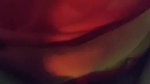 Desi bhabhi Fucking