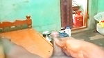 Indian Tamil Aunty Sex Video