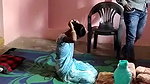 Devar bhabhi fucking