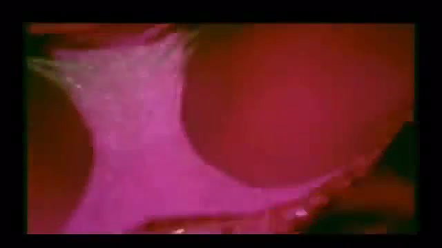 bengali B-grade Movie song – 69