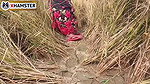 Bengali audio Chudai in paddy field nomita bhabhi