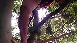 I like to pissing in the tree and Bengali dirty audio