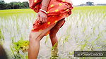 peeing while planting your rice seedlings nomita boudi