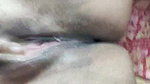 MYD-SPG-SOUTH-12222024- 642