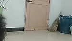 MYD-SPG-SOUTH-12222024- 509